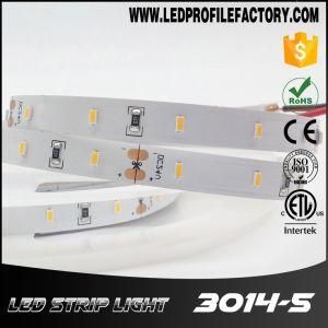 Ws2812b LED Strip, LED Strip RGB, Waterproof LED Strip Light