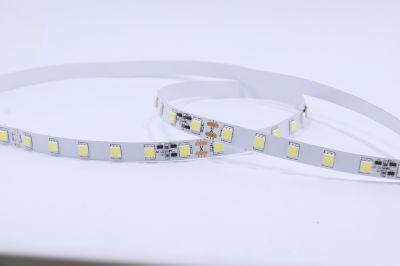 Ce RoHS Approved High Brightness Waterproof Flexible LED Strip 12V DC 5050 LED Strip White LED Christmas Light LED Light Rope Light