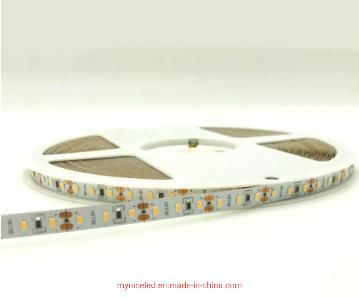 10mm 96LEDs/M 12V High Brightness SMD 3014 LED Light Strip