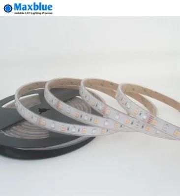 RGB LED Strip/LED Strip Light/Flexible LED Strip Light Waterproof