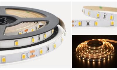 10mm Ultra Brightness 120LEDs/M LED Flexible Strips Light Powered by Samsung LED