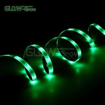 12V LED TV Backlight Decoration RGB CCT Strip Light with CE Approval