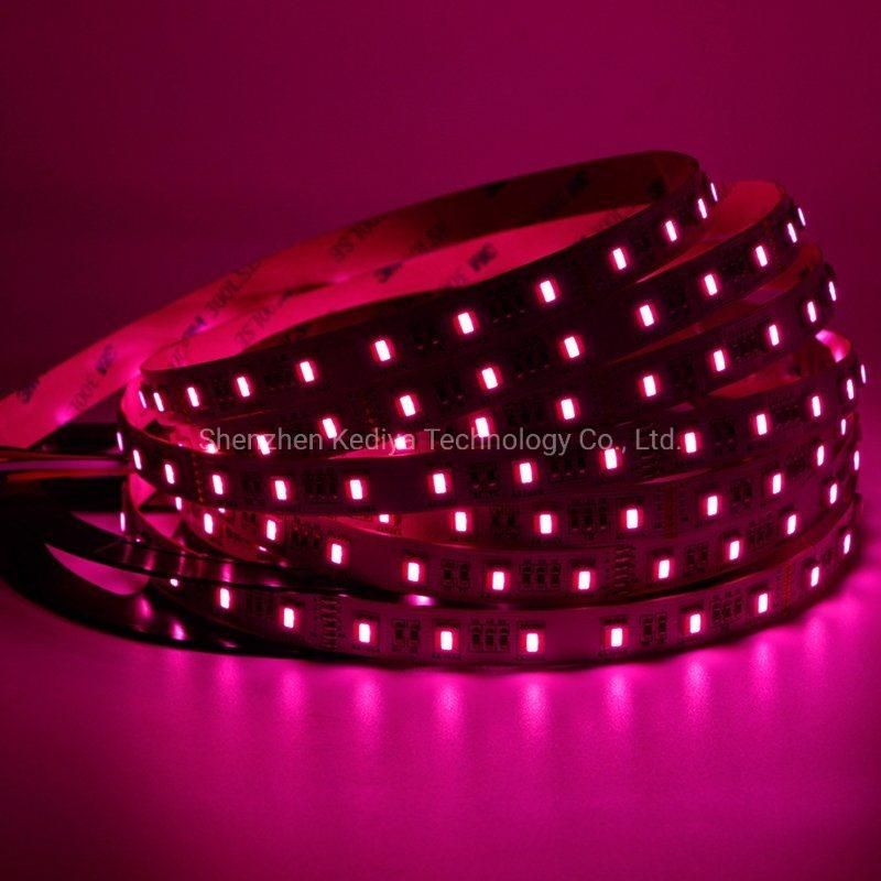 3m 5m LED Light Strip RGB CCT 12V LED Strip Light Waterproof