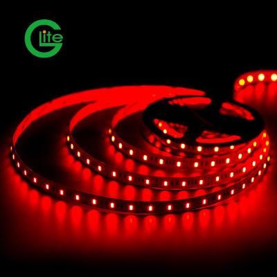 3years Warranty LED Light Strip SMD5050 Rgbww 60LED 6W Ra90 LED Strip DC24 LED Light