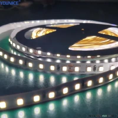 10m/Roll 100lm/W DC12V SMD2835 Fast Delivery MOQ10km Flexible LED Strip