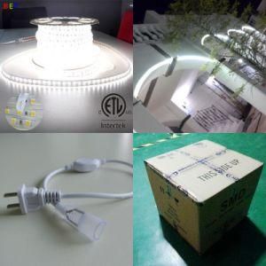 High Brightness LED Flexible Strip White 5050 Outdoor 120V 60LED/M