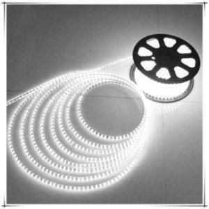 SMD5050 Waterproof LED Light Decoration in Rope Light