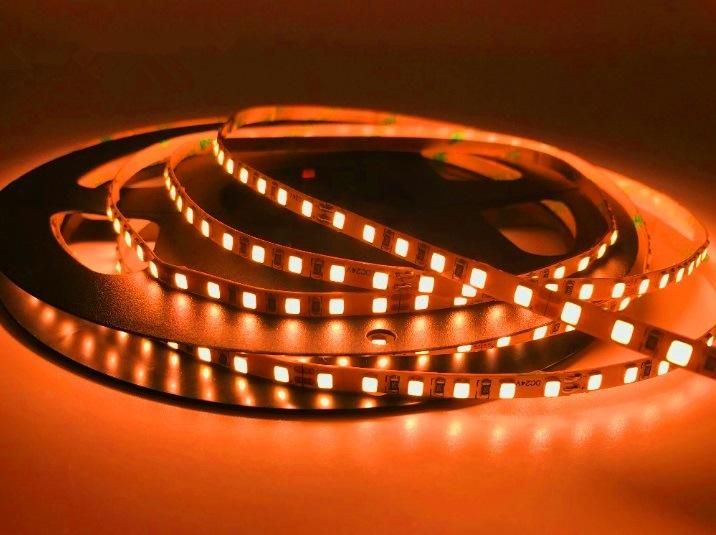 High Brightness Waterproof PCB 8mm/10mm/ 12V/24V Flexible SMD2835 LED Strip Light