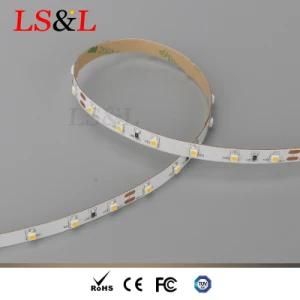 3528 SMD LED Rope Strip Light 60LEDs/M Supply by LED Factory
