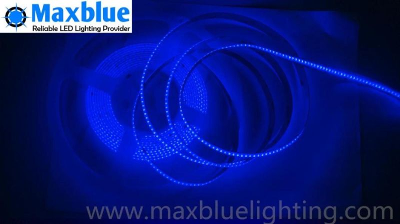 Blue 455-465nm COB LED Strip CE RoHS 3 Years Warranty