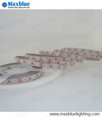 DC12V/24V 8mm/10mm 3528 120LEDs Per Meter LED Strip Light