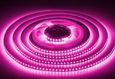 24V Ra80 Cutting Unit 100mm High Quality Lamp Beads Bare Plate Process 2835 Flexible LED Light Strip