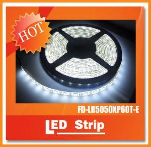12V SMD5050 72W 60LEDs IP65 LED Strip White LED Decoration Lights