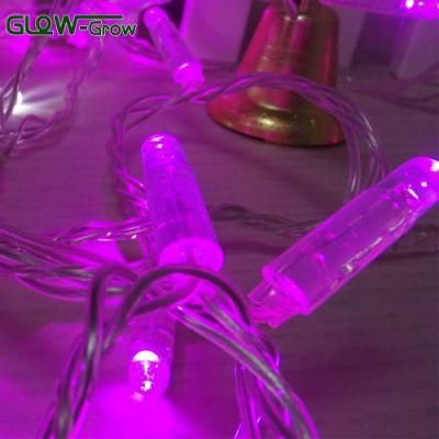 Custom PVC Wire String Light with Flash Bulb 4+1 for Festival Decoration