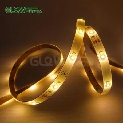 Flexible Nature White 12V/24V IP44 3.6W/M LED CCT Strip Light for High-End Business Clubs, Under Cabinet, Dressing Mirror, Make-up