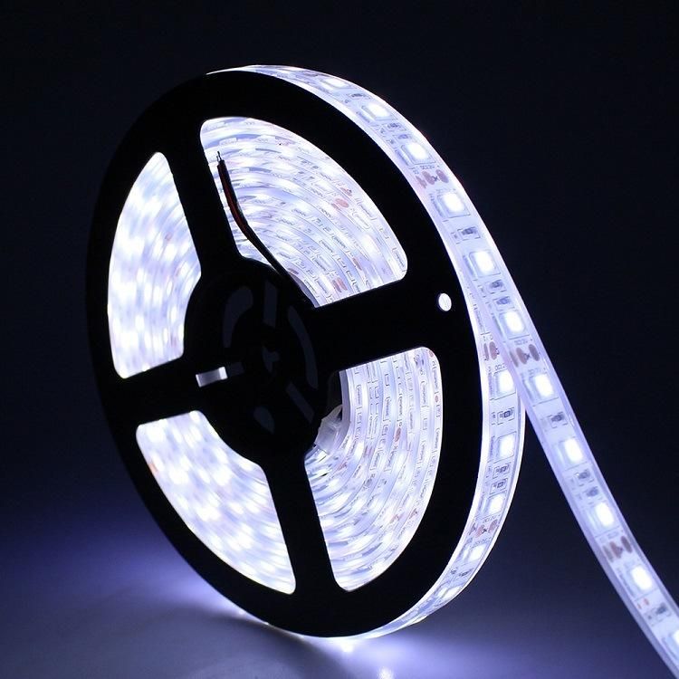 Wholesale Custom 5m 10m 15m 20m Waterproof SMD 5050 RGB LED Strip Work for Event Wedding Party Christmas Decoration