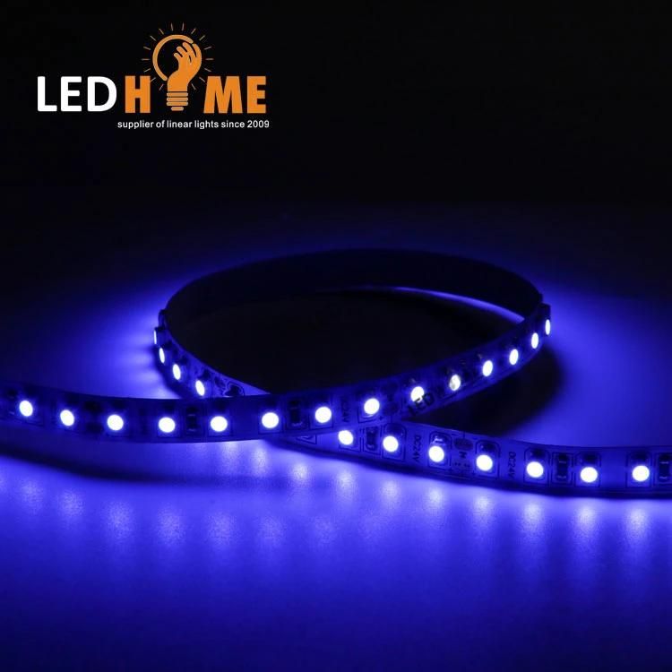 Waterproof IP68 LED Lighting SMD3528 120LED Strip 12/24V 3000K/4000K/5000K