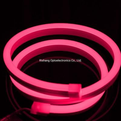 3 Years Warrany High Quality LED Neon Flex with Silicon Tube
