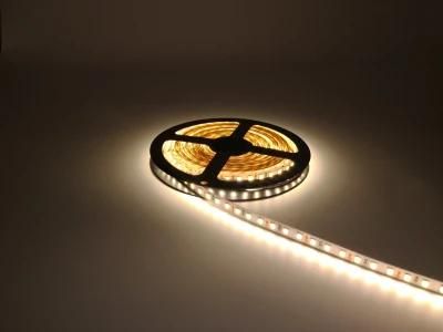 12V LED Strip Lighting 24-26lm/LED 120LEDs 2835 Waterproof LED Strip