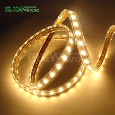 SMD2835 6000K White IP65 Waterproof 60*2LEDs/M 2835 LED Strip Light for Event Home Decoration