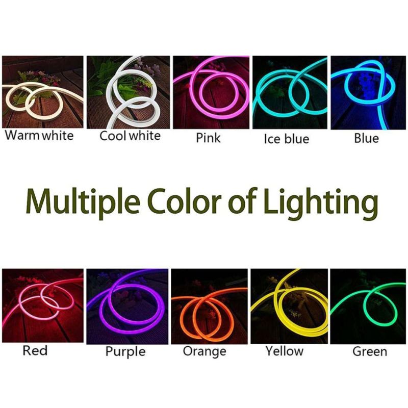 Wholesale LED Neon Light Acrylic Thin Flex Rope Light Art Wall Decorative Neon Light