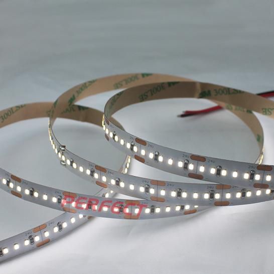 Best Sellers LED 2216 Strip Light 240LED CE 3year Warranty