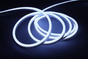 Best Price 220V 12V 100m/Roll Flexible Neon LED Strip Light