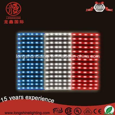 LED RGB 10W Flag Pole Middle East Europe Rope String Light for National Decoration.