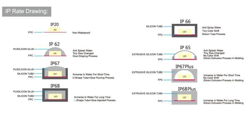 DC12V/24V 120LED Per Meter SMD3838 Flexible RGB Digital Programmable Flexible LED Strip