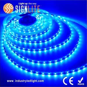 3 Years Warranty SMD2835 9.6W/M Flexible LED Strip Lights