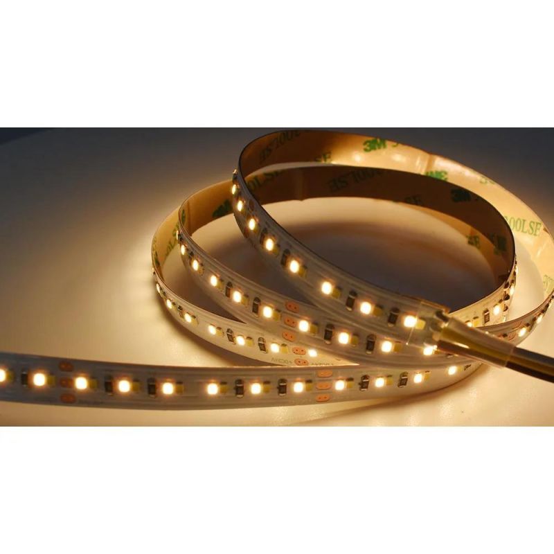 Hot Selling 168LED 10mm Width SMD2216 Strip CCT Flexible LED Strip