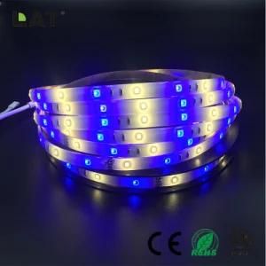 High Brightness DC12V IP20 IP65 SMD5050 Blue+2835ww Cw 10m 36 60 120LEDs/M Flexible LED Strip Tape Ce ETL UL