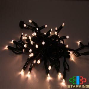 IP20 Indoor 100LEDs LED String Lights 10m 220V 110V Christmas Wedding Party Decorations Lighting