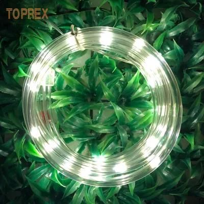 Modern Lighting Decoration LED Fairy Copper Wire Flex Tube with Battery Oprated