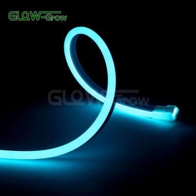 5050 LED RGB Sync Waterproof IP65 Single Side Neon Flex Light Rope Light Strip LED 220 V