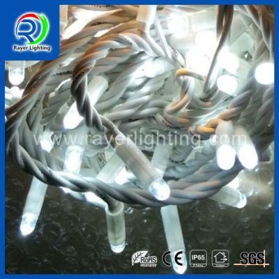 LED String Light Christmas Decoration Wedding Garden Decoration