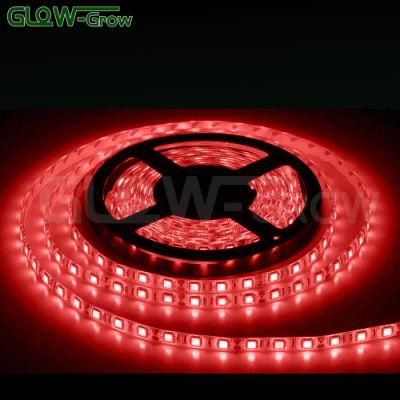 10m 30LEDs/M 3.6W/M 12V/24V Flexible SMD RGB LED Light Strip for Bar Wedding Home Christmas Decoration