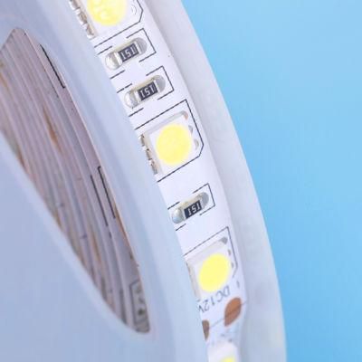 3years Warranty 5watt 60/ 30 LEDs White Strip Magic Digital LED Strip Light 12V with Power Supplier