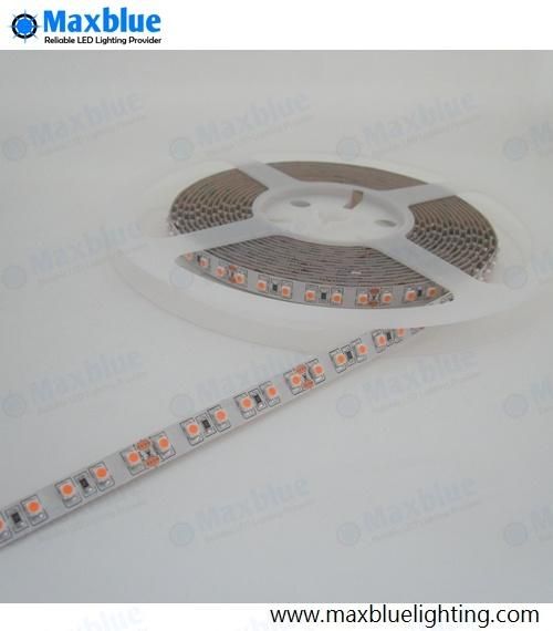 DC12V/24V SMD3528 Flexible LED Strip Light Extra Warm White 2300K