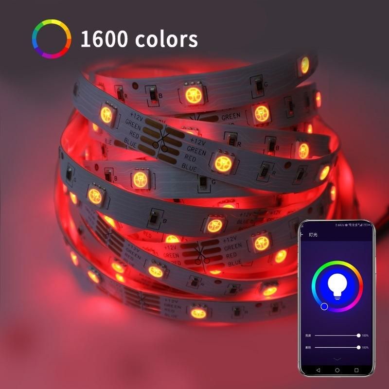 Smart Home WiFi LED Rope Light Set RGB