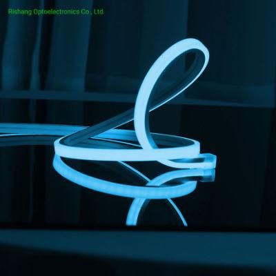 Blue CE RoHS UL Outdoor Usage Silicon Gel Waterproof Decorative Lighting LED Flexible Square Neon Strips