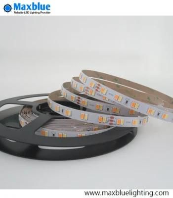 CCT Adjustable and Dimmable Dual White DC24V SMD LED Strip