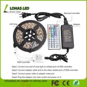 Zhongshan Guangzhou Hot Selling 5050 SMD 60 LEDs/M 5m/Roll IP67 Waterproof RGB LED Strip Light