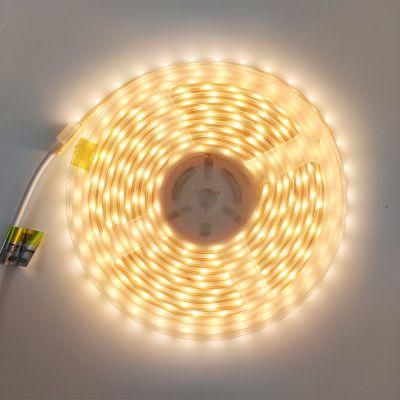 Low Voltage LED Strip Light