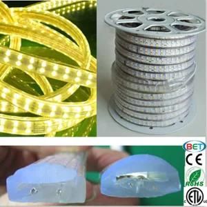 144LED/M 5050outdoor Light Double Row LED Ribbon/LED Strip Light LED with ETL