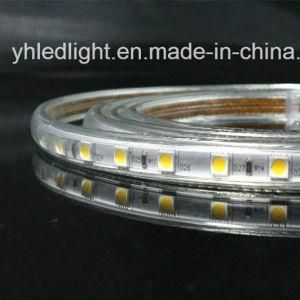 IP67 Waterproof SMD 5050 LED Light with High Lumen