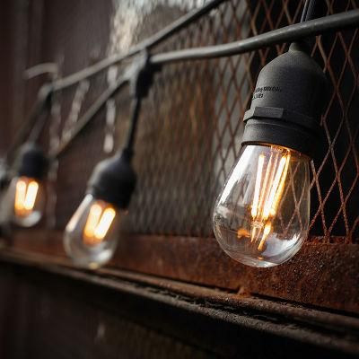 S14 Double Filament Bulbs LED String Light