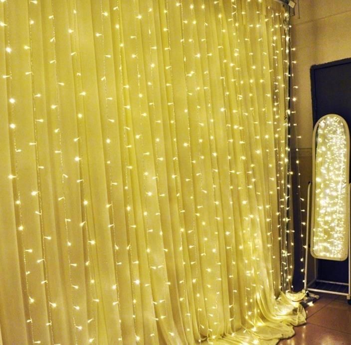 110V 220V 2*3m 800LEDs Wedding Decoration LED Curtain Light