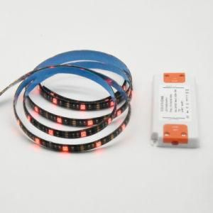 IP65 Strip Lamp Waterproof 12V Christmas Light with Slim Power Transformer