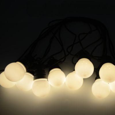 Christmas Decoration High Quality 24V LED Bulb String Light